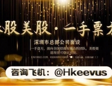 港美股票源头招商终端对接Hkeevus