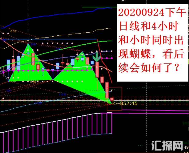 外汇MT4指标 蝴蝶指标及使用记录