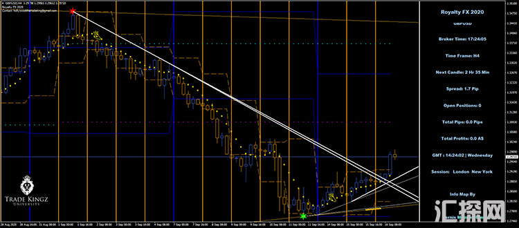 Royalty FX 2020 盈利的外汇交易系统下载