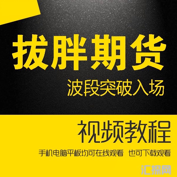 2020拔胖期货波段突破入场交易理念实盘账单复盘视频 30节