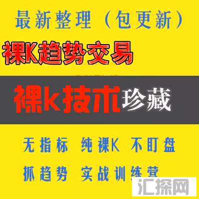 炒外汇视频教程裸k趋势交易系统日内短线交易技术分析实战训练