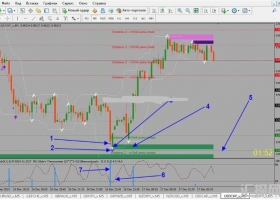 MT4下载 rogressor Binary Strategy 裸k 外汇交易系统