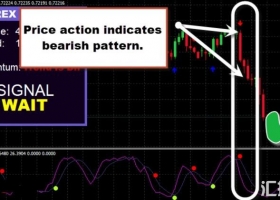 下载MT4 一款售价127美金的外汇交易系统 外汇指标